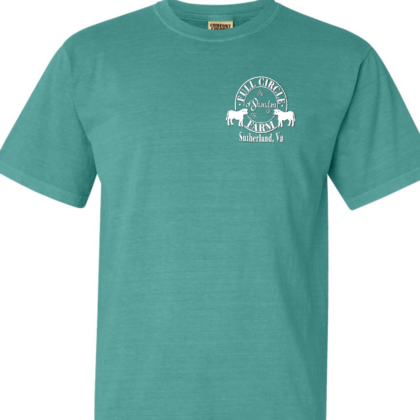 Full Circle Farm Logo Premium T- in Seafoam